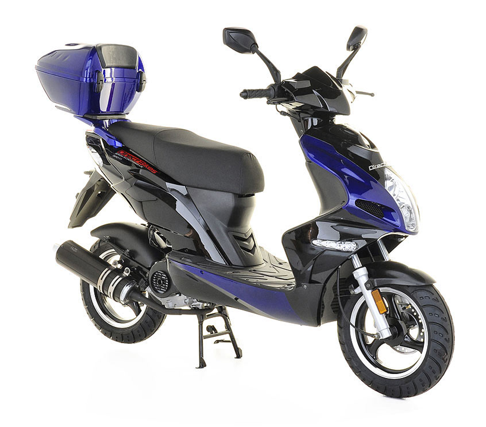 Adult Scooter Scorpion